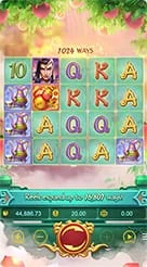 RP888 · Lgd Monkey Kg